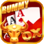 gin rummy card game
